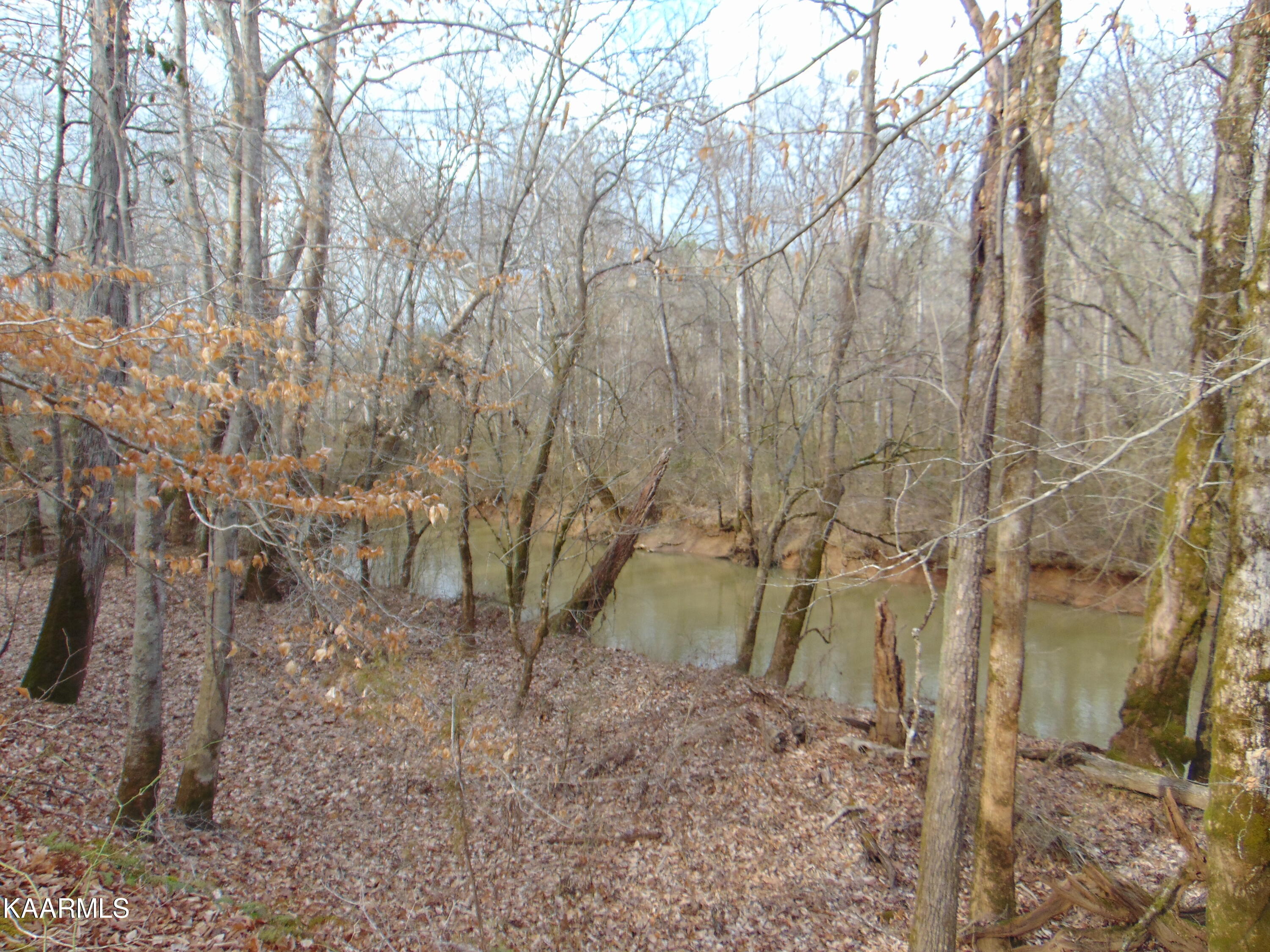 14 Athens Road Calhoun, TN 37309 - Photo 26 of 50 DSC02355
