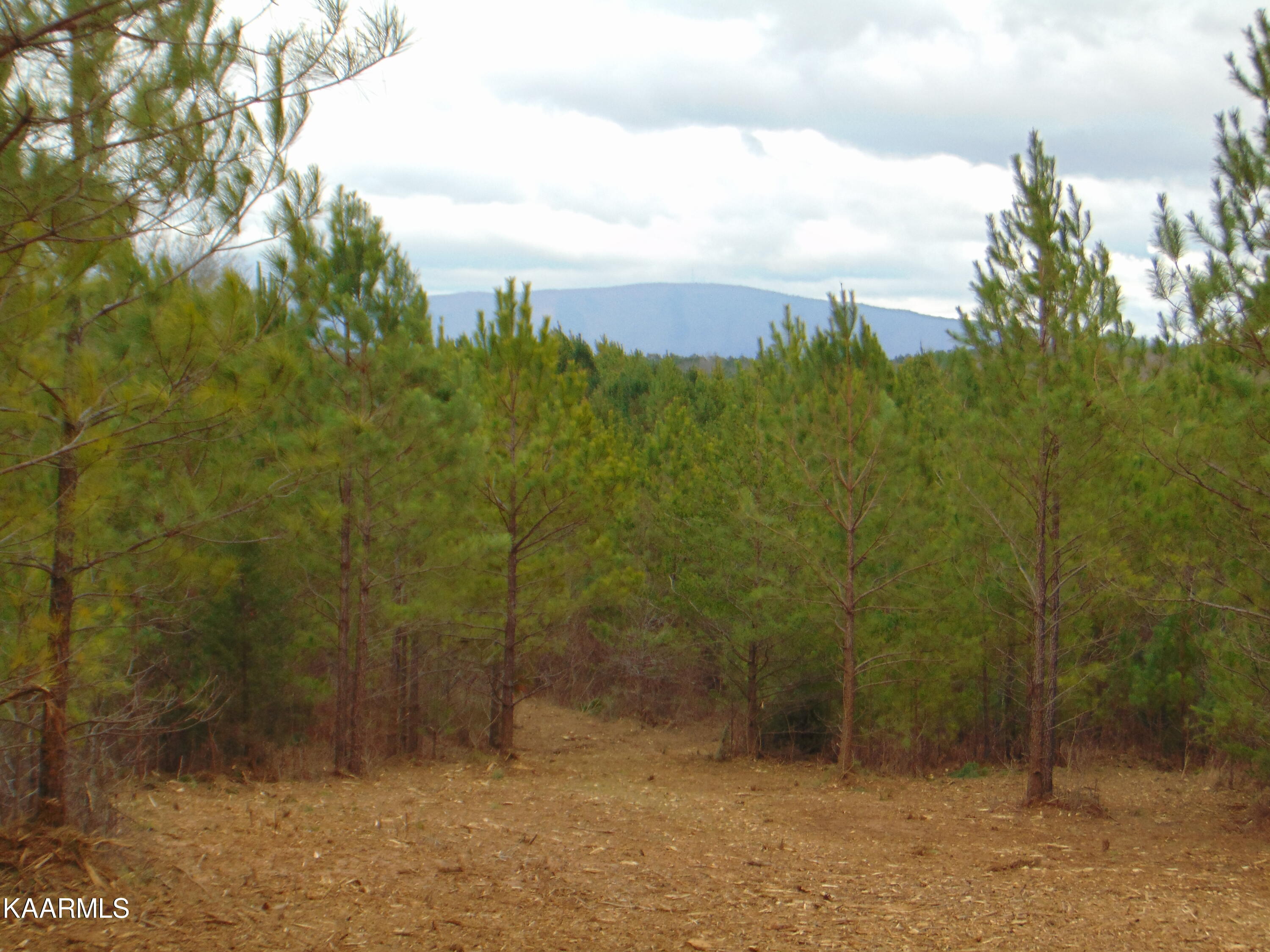 14 Athens Road Calhoun, TN 37309 - Photo 30 of 50 DSC02359