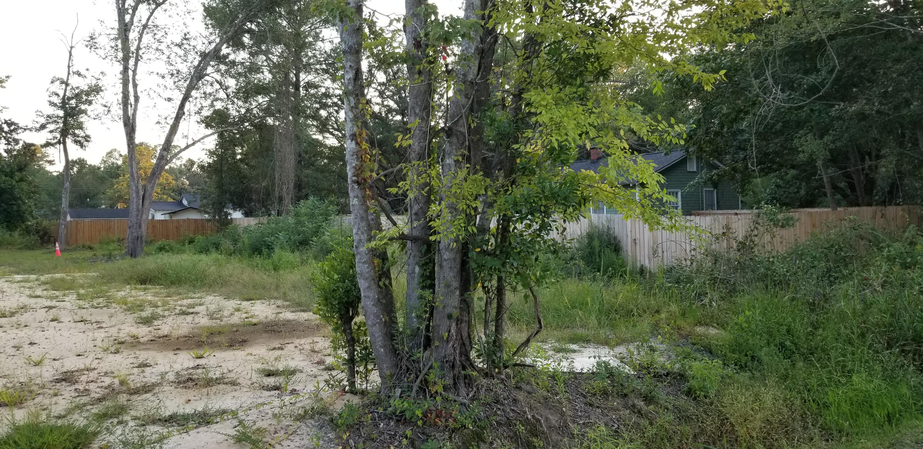 0 Enterprise Street Walterboro, SC 29488 - Photo 4 of 5 20250915_185904