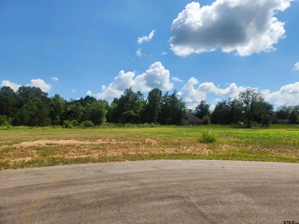 $55,000 | 20048 Dews Court, Troup, TX 75789
