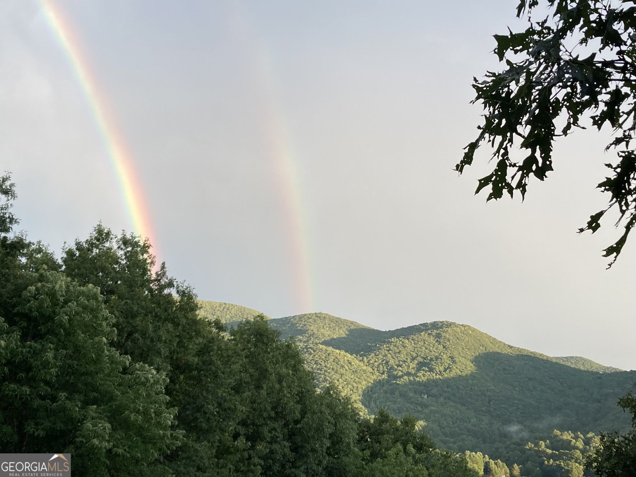 226 Moon Ridge Drive Dillard, GA 30537 - Photo 101 of 105