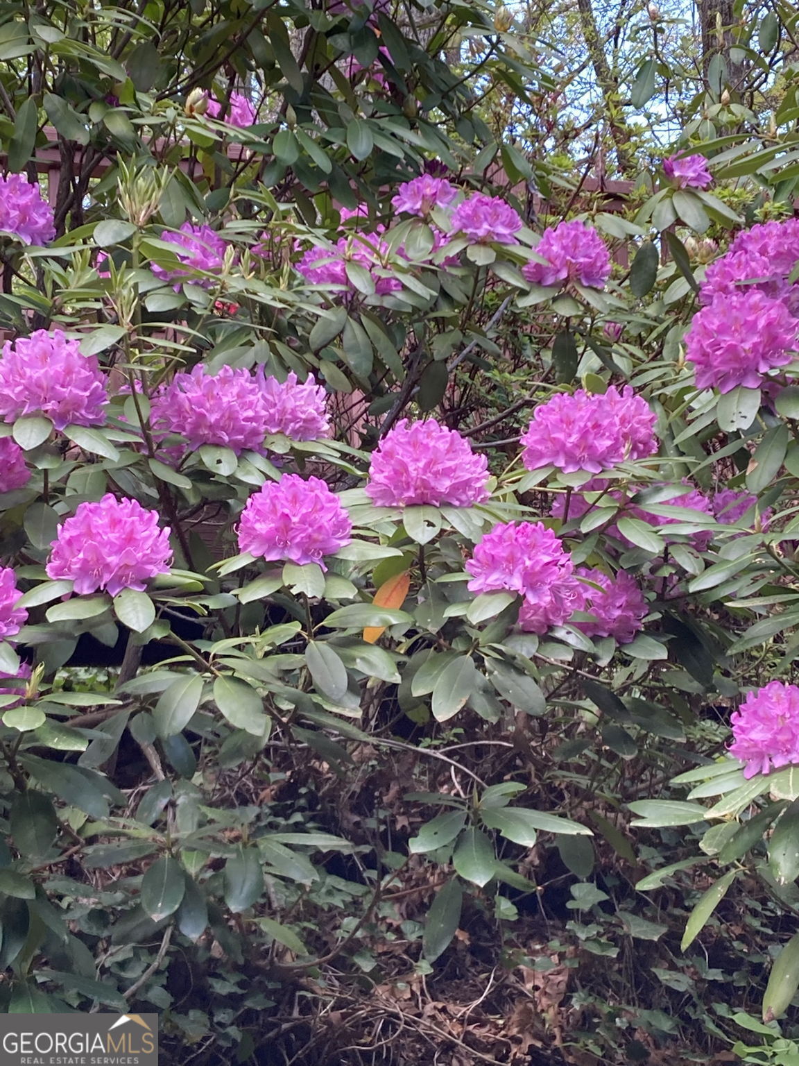 226 Moon Ridge Drive Dillard, GA 30537 - Photo 102 of 105