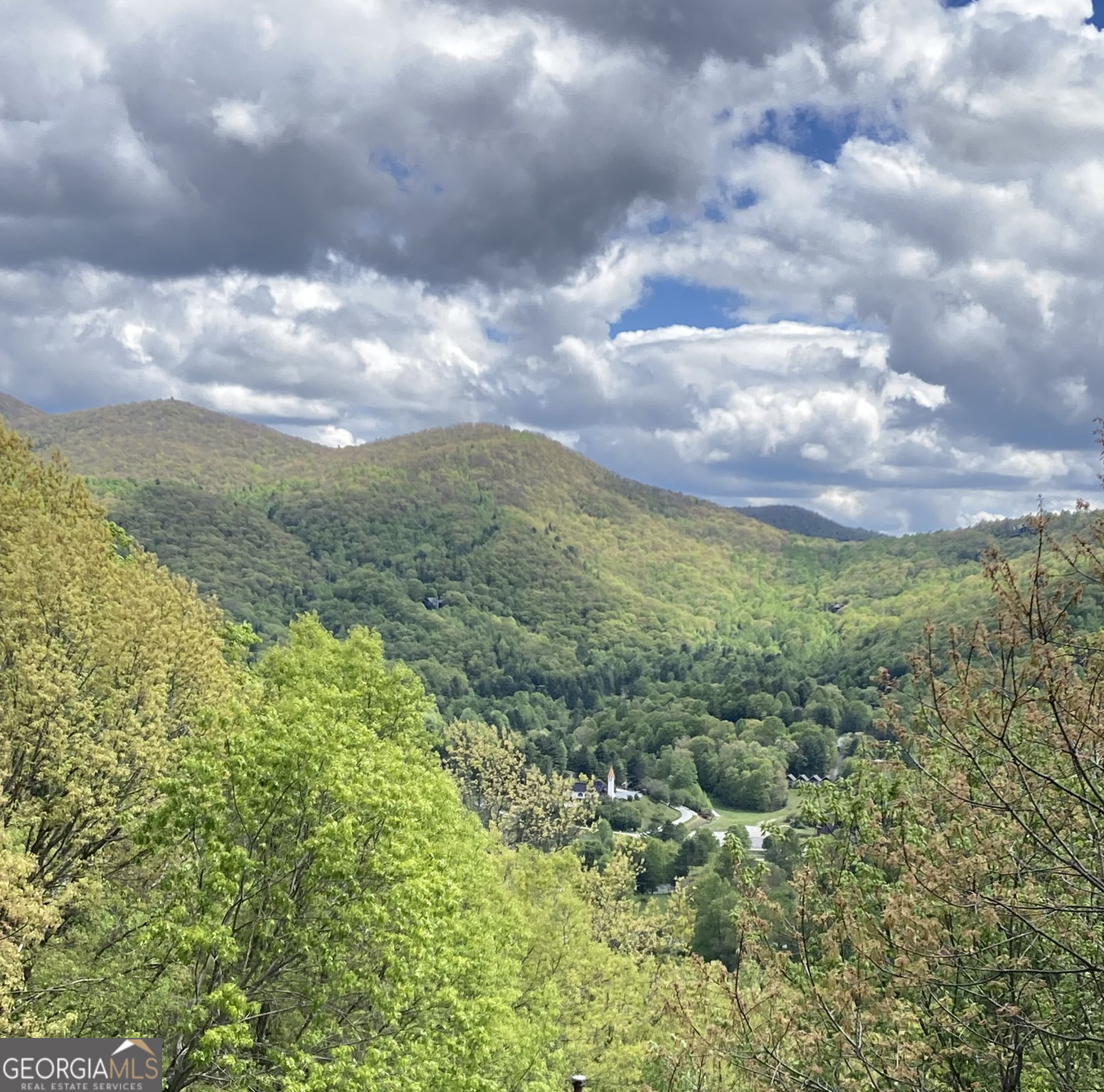 226 Moon Ridge Drive Dillard, GA 30537 - Photo 103 of 105