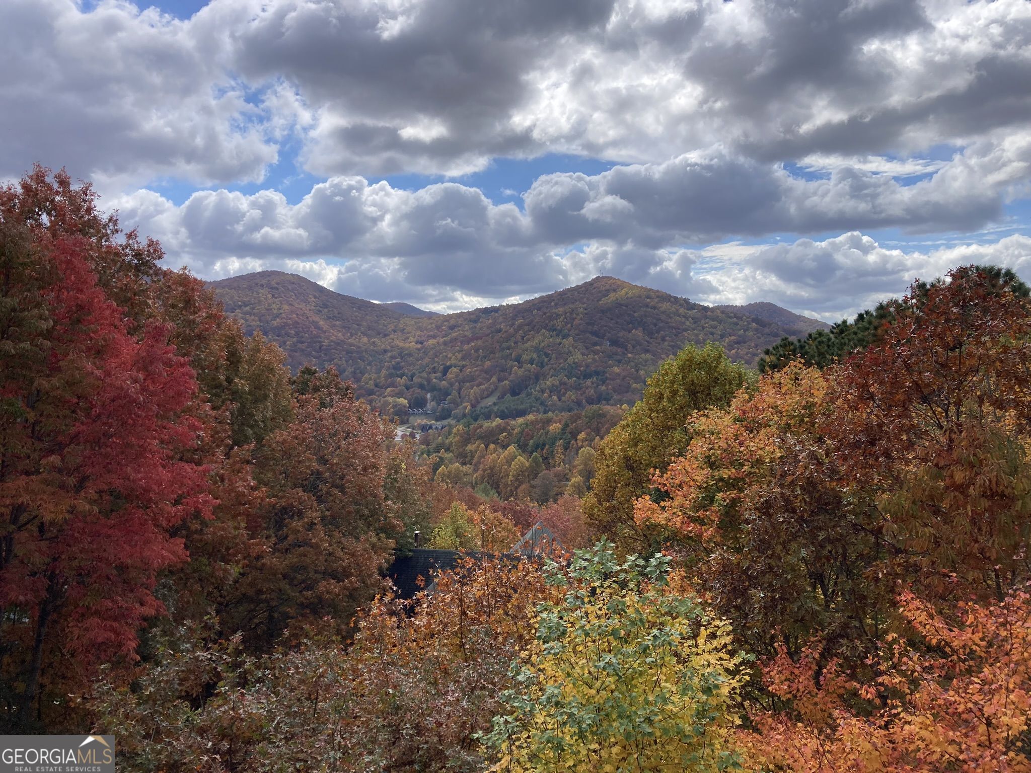 226 Moon Ridge Drive Dillard, GA 30537 - Photo 98 of 105