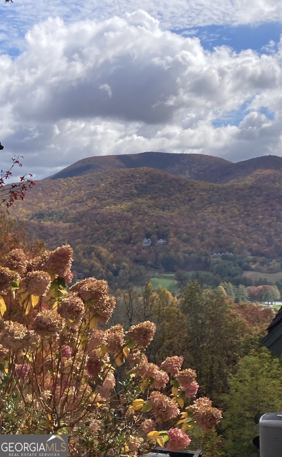 226 Moon Ridge Drive Dillard, GA 30537 - Photo 99 of 105