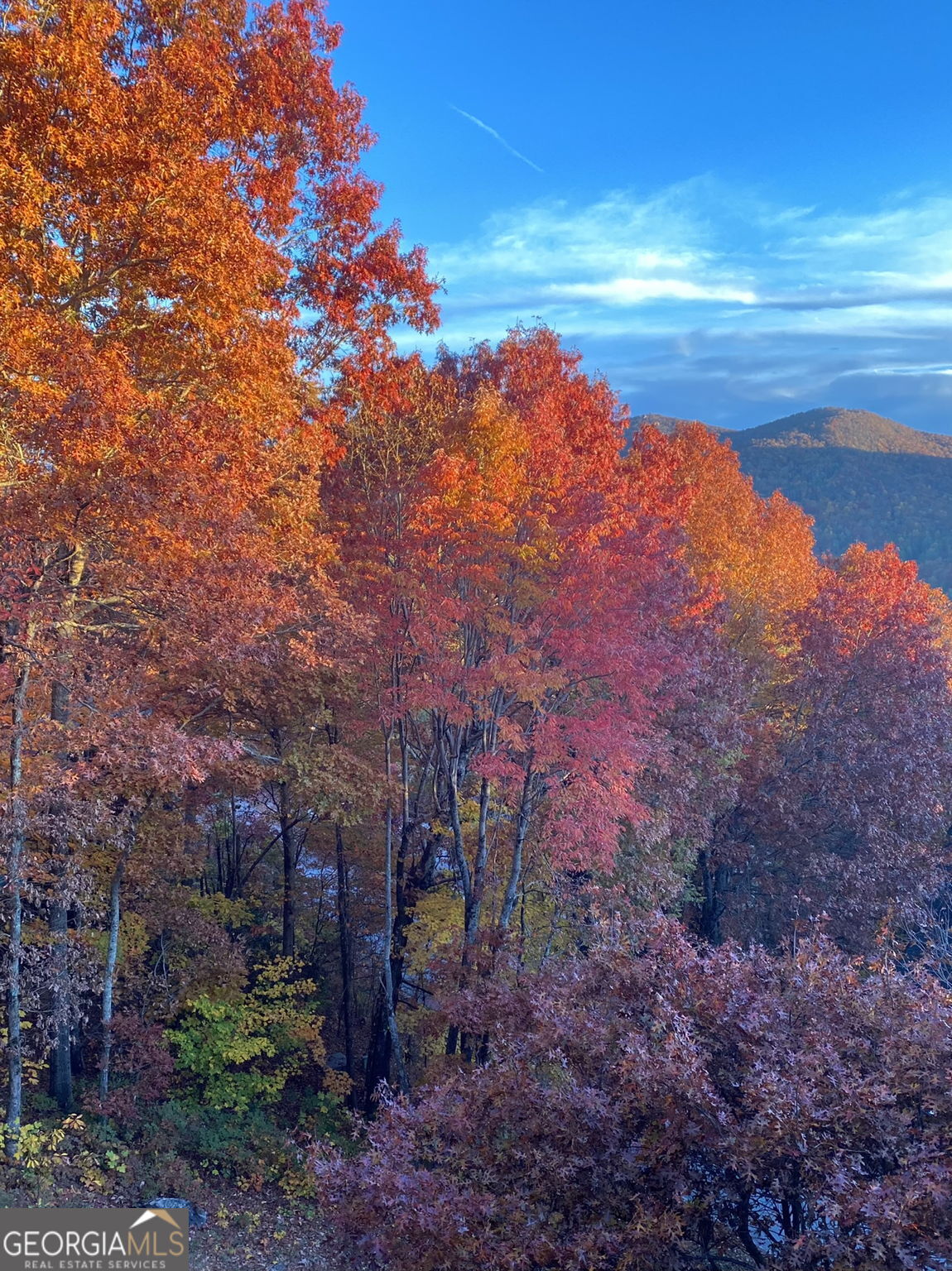 226 Moon Ridge Drive Dillard, GA 30537 - Photo 100 of 105