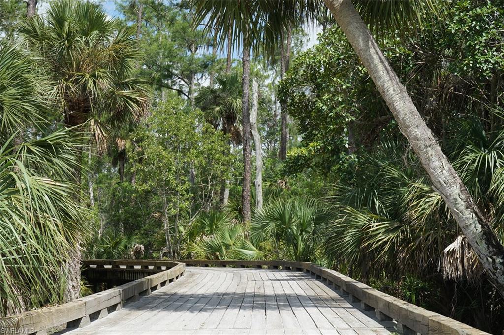 9719 Acqua Court, Unit 214 Naples, FL 34113 - Photo 49 of 50 a view of backyard with green space