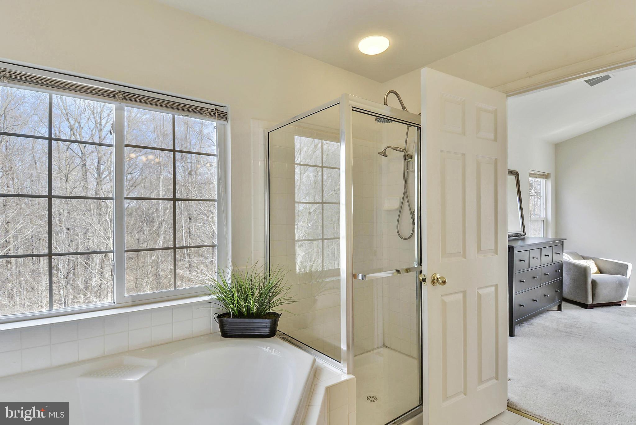 18858 Broken Oak Road Boyds, MD 20841 - Photo 13 of 30 Beautiful Master Bath with Soaking Tub and Shower