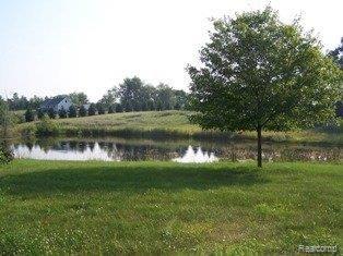 4931 Winding Way Howell, MI 48843 - Photo 16 of 21 pond
