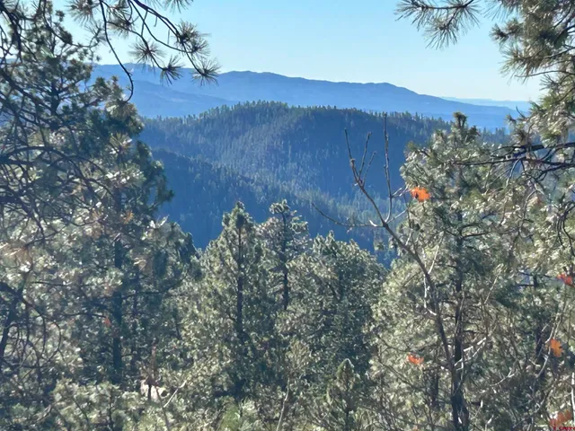 a view of a house with a mountain and a forest