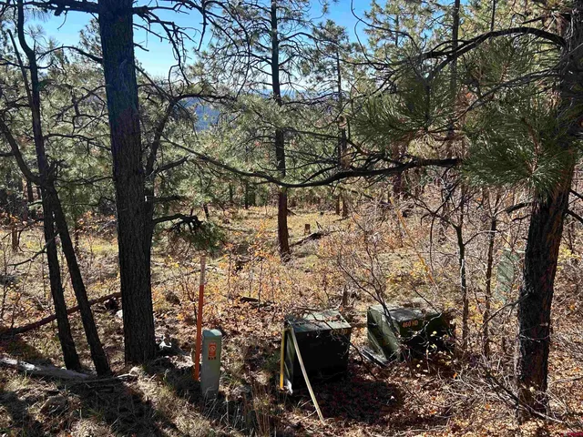 a view of outdoor space