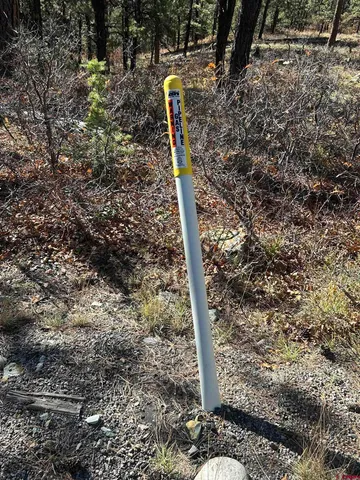 a view of swimming pool with a yard