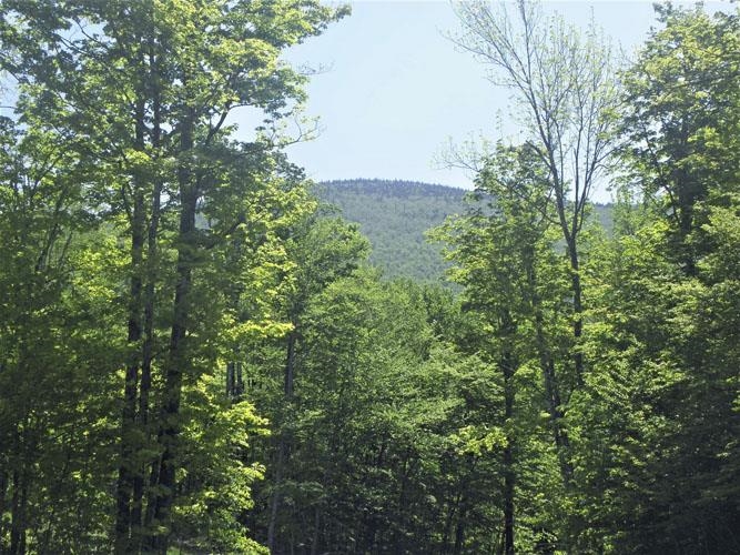 0 Plunkton Road Granville, VT 05747 - Photo 1 of 16