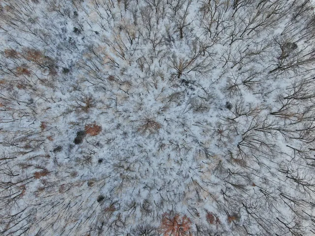 $1,000,000 | 3 Saint Joseph Twp Mn 56374, Avon, MN 56310