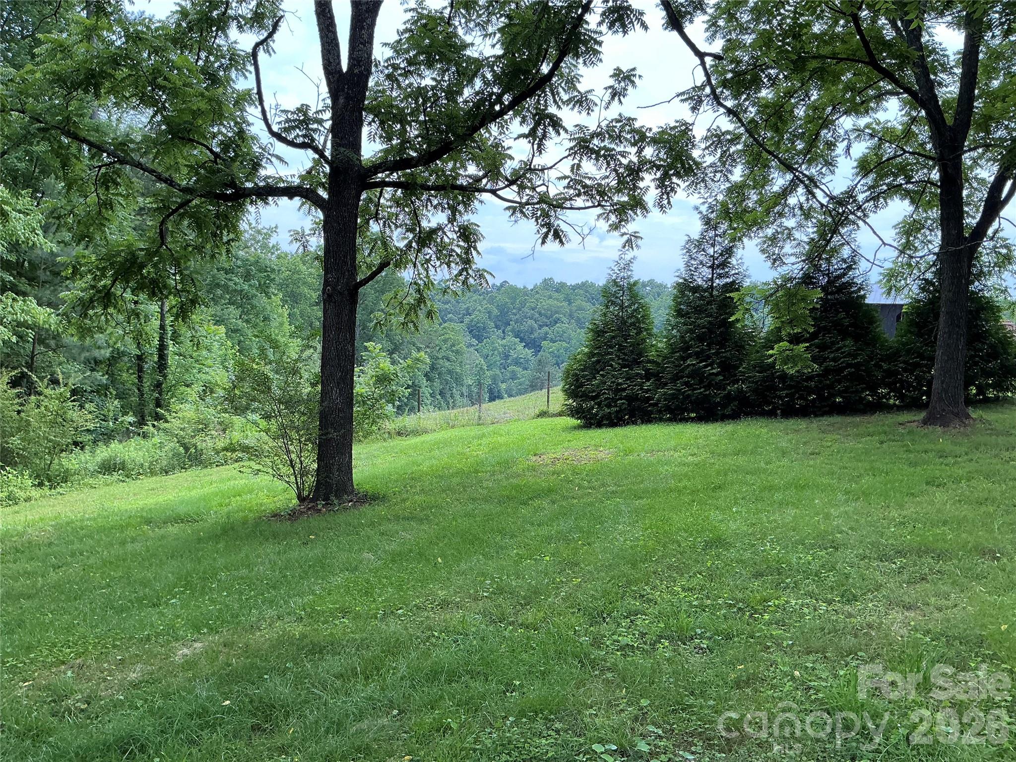 1199 McEntire Road Rutherfordton, NC 28139 - Photo 7 of 10