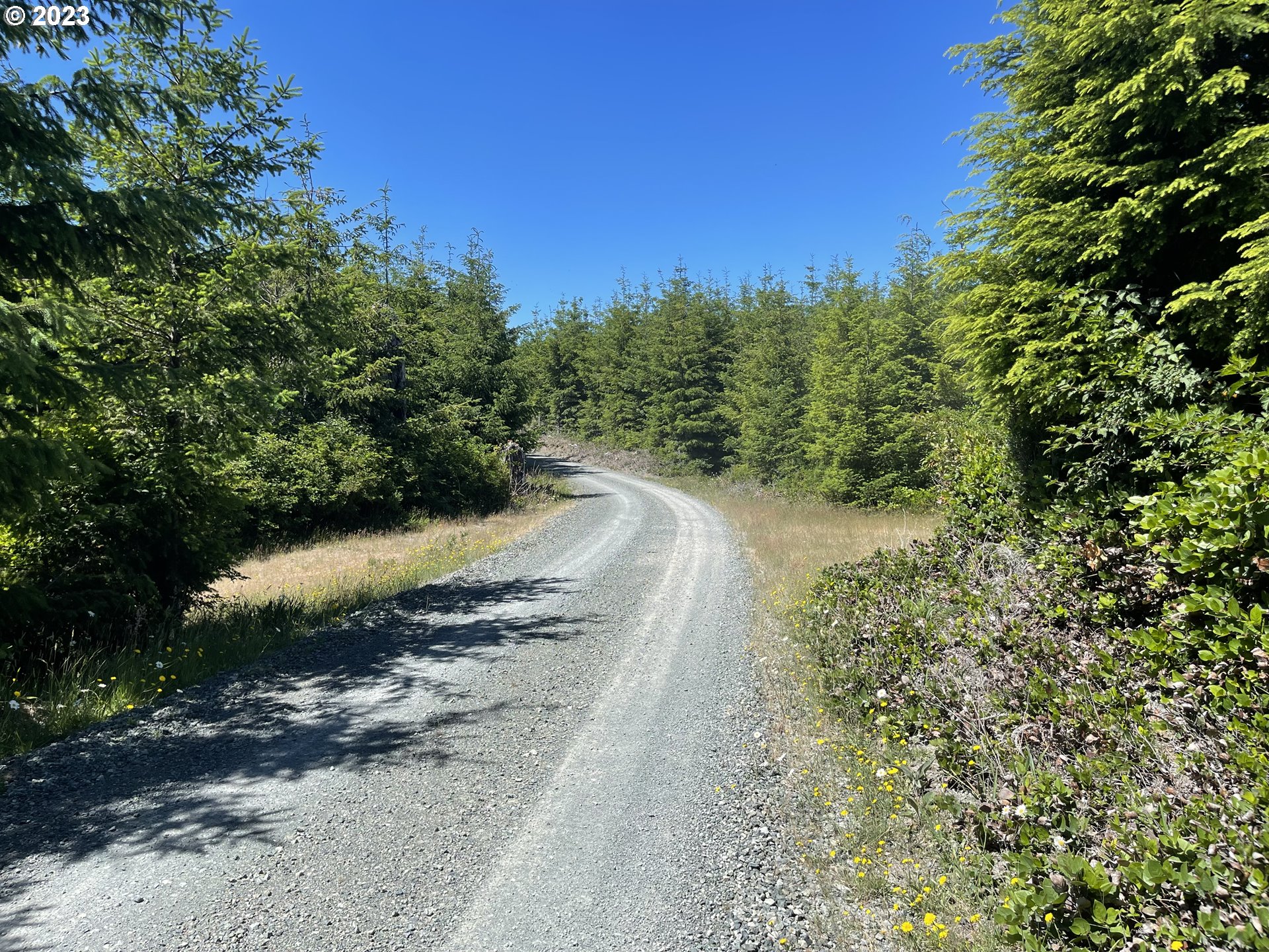 0 Elk River Road Port Orford, OR 97465 - Photo 1 of 20 a view of a yard with plants and trees