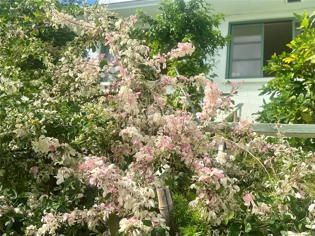 $2,000 | 1245 B Alewa Drive, Honolulu, HI 96817