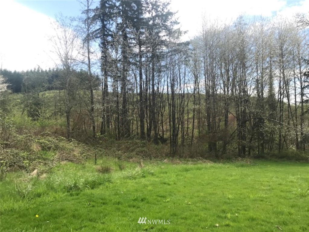 206 Logan Hill Road, Unit A Chehalis, WA 98532 - Photo 4 of 17