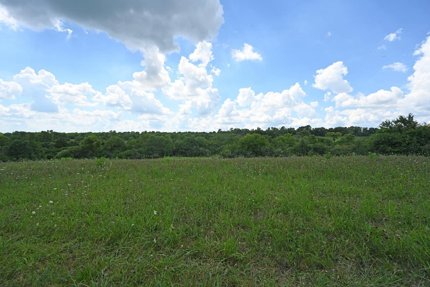 21.229-ac 21.229-ac Waynes Trace Road Hamilton, OH 45011 - Photo 6 of 23