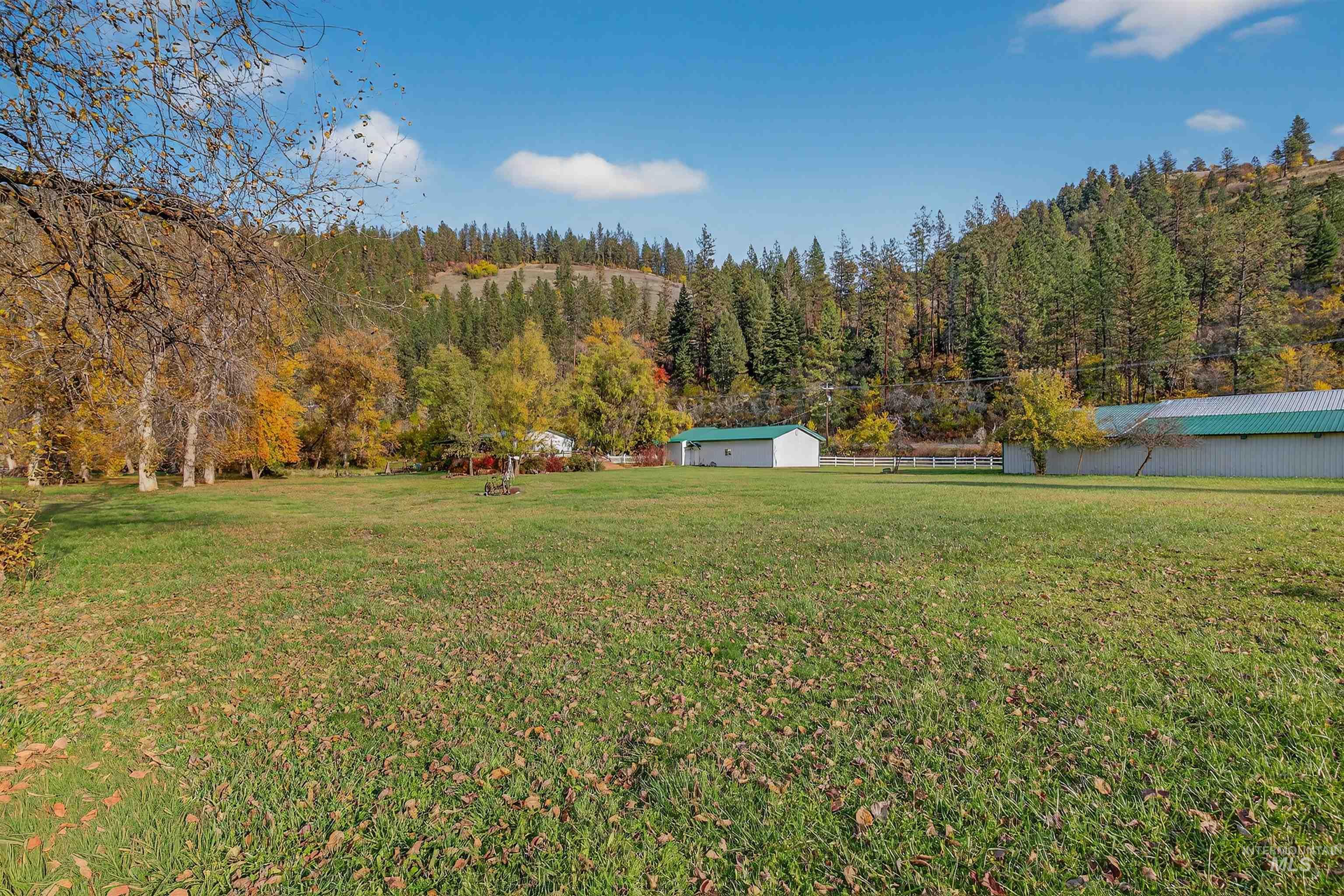 4151 Highway 13 Stites, ID 83552 - Photo 29 of 50 View of green lawn with a view of trees and an outdoor structure