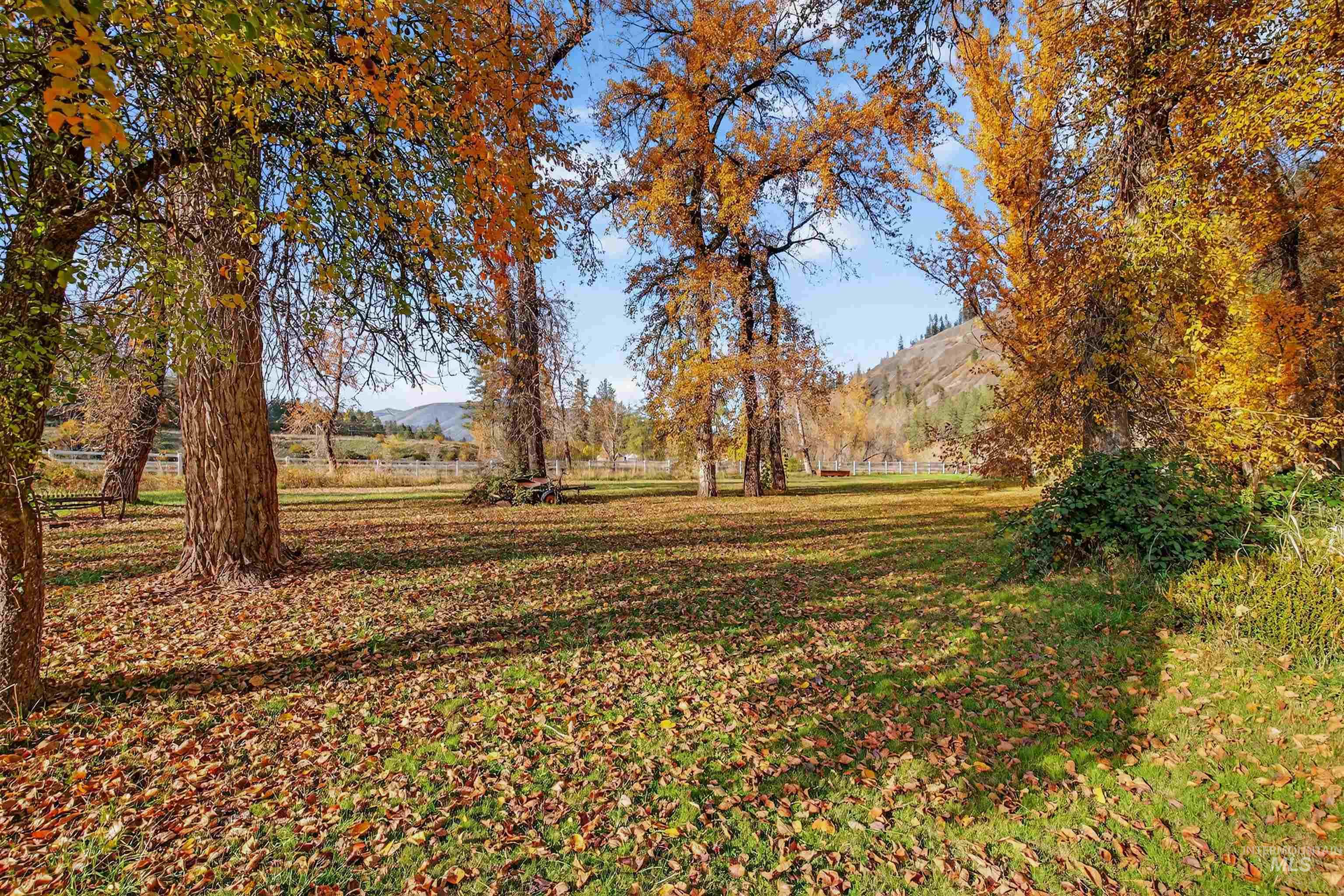 4151 Highway 13 Stites, ID 83552 - Photo 49 of 50 View of green lawn featuring a mountain view