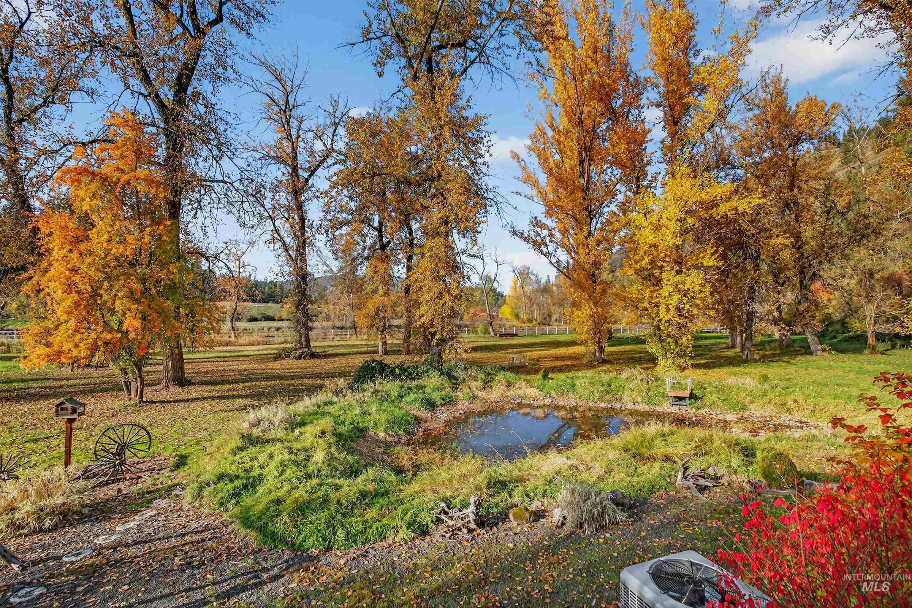4151 Highway 13 Stites, ID 83552 - Photo 6 of 50 View of green lawn