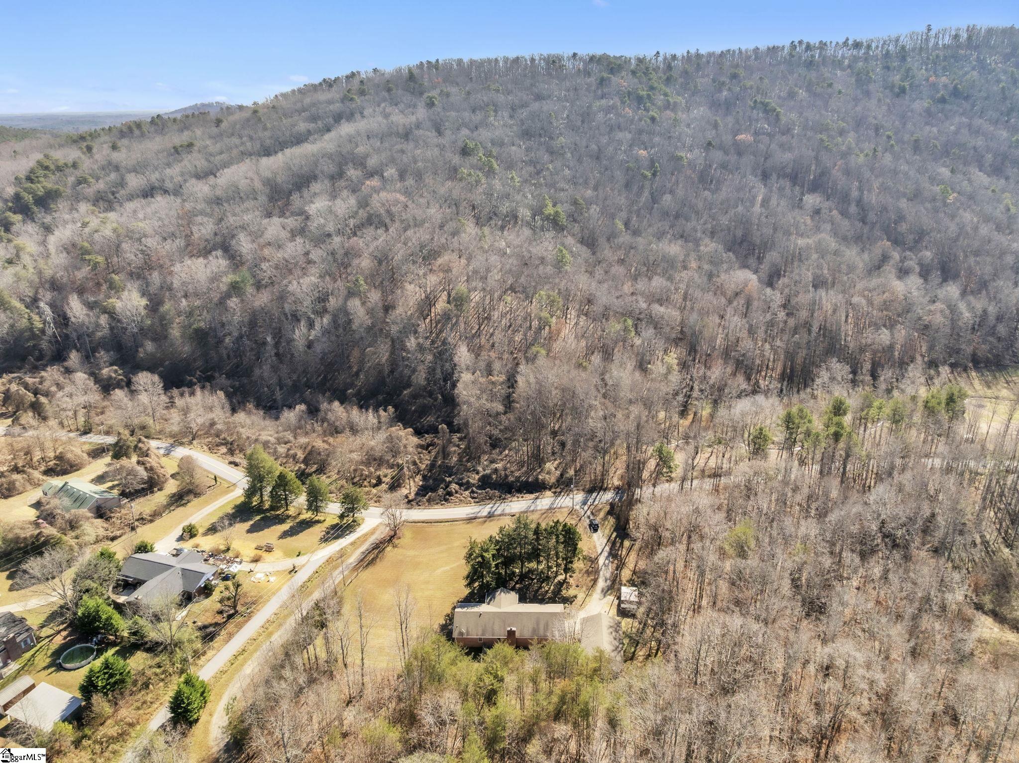 785 Mt Tabor Church Road Pickens, SC 29671 - Photo 36 of 42