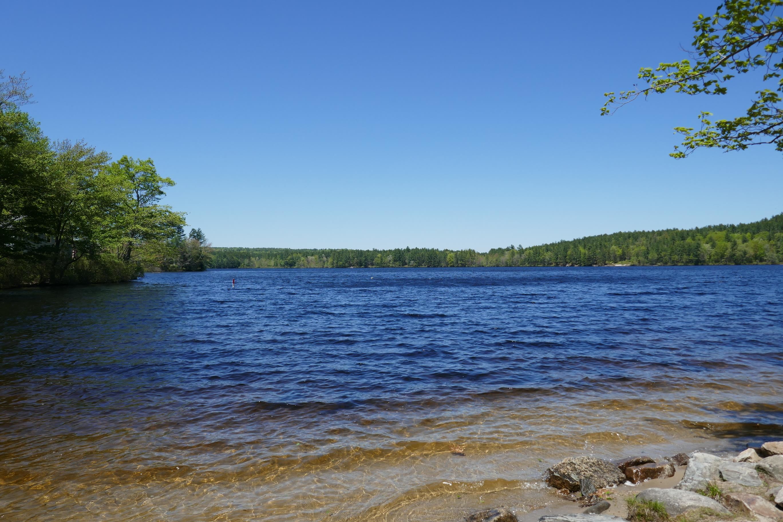9 Wright Road, Unit D246 Brookline, NH 03033 - Photo 9 of 20