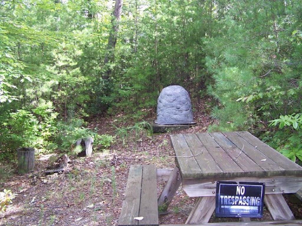 Lot 121 Eagle Nest Road Purlear, NC 28665 - Photo 1 of 14
