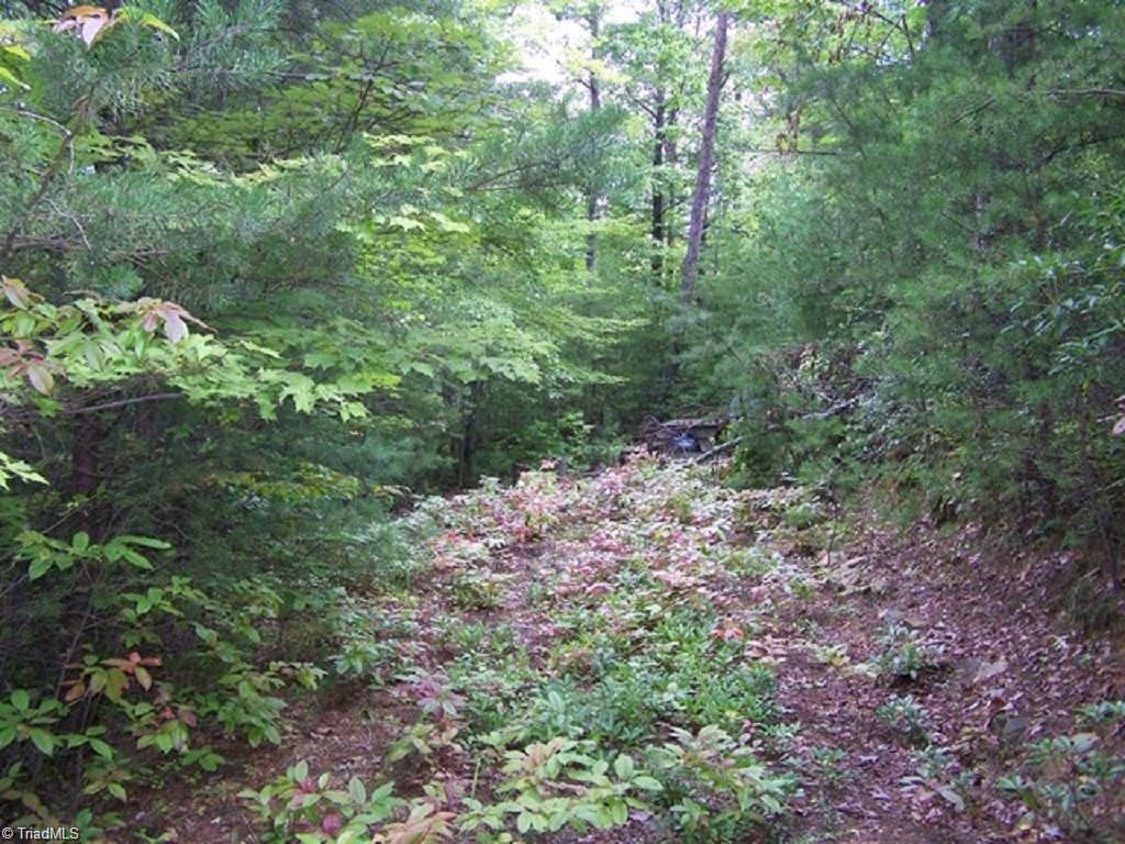Lot 121 Eagle Nest Road Purlear, NC 28665 - Photo 2 of 14