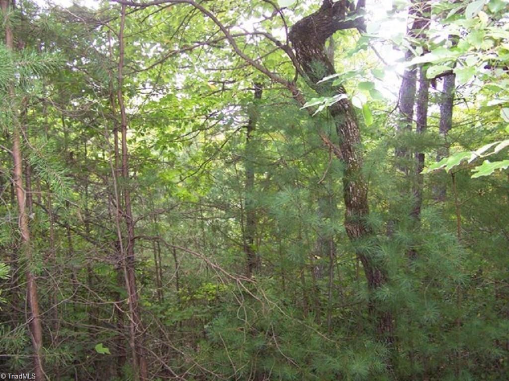 Lot 121 Eagle Nest Road Purlear, NC 28665 - Photo 4 of 14