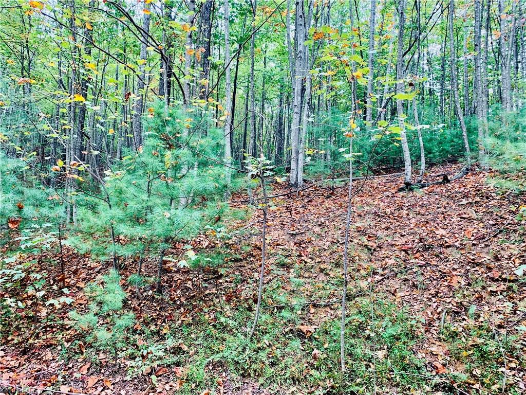 Lot 121 Eagle Nest Road Purlear, NC 28665 - Photo 5 of 14