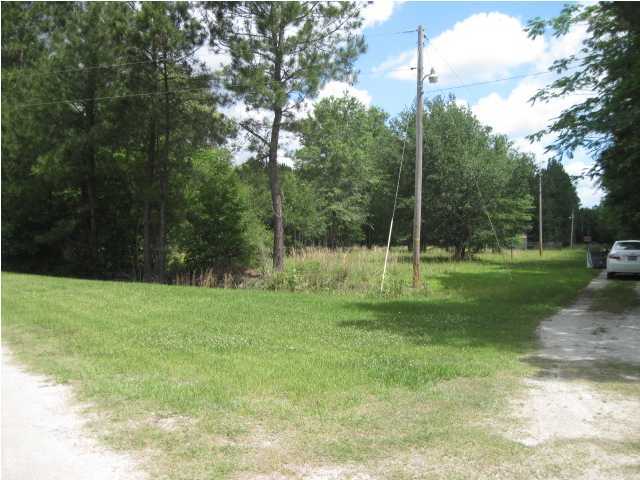 0 Phillips Lane Ridgeville, SC 29472 - Photo 2 of 4 Additional Photo