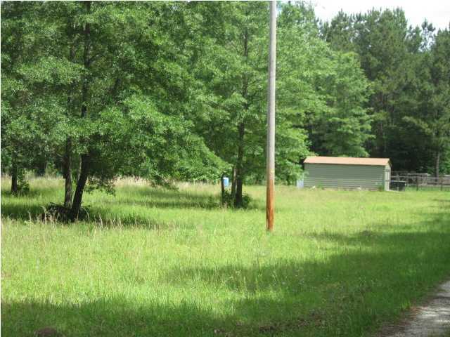 0 Phillips Lane Ridgeville, SC 29472 - Photo 3 of 4 Additional Photo