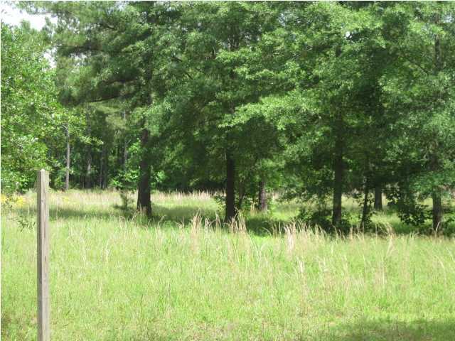 0 Phillips Lane Ridgeville, SC 29472 - Photo 4 of 4 Additional Photo