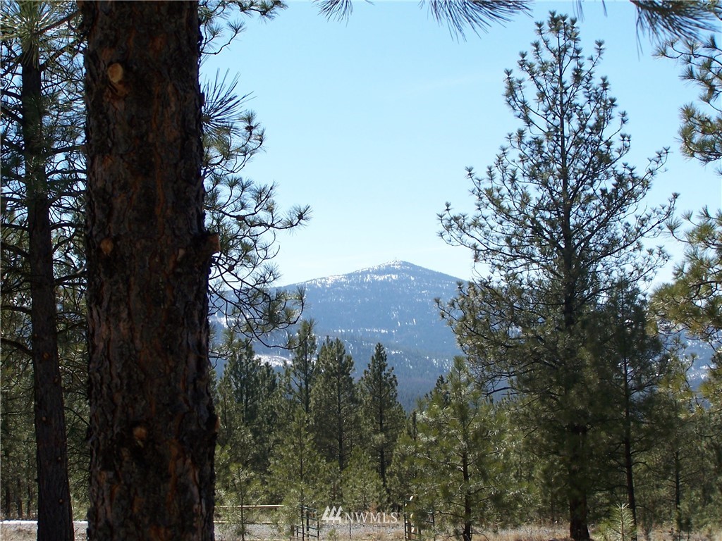 4 Lookout Trail Riverside, WA 98849 - Photo 1 of 11