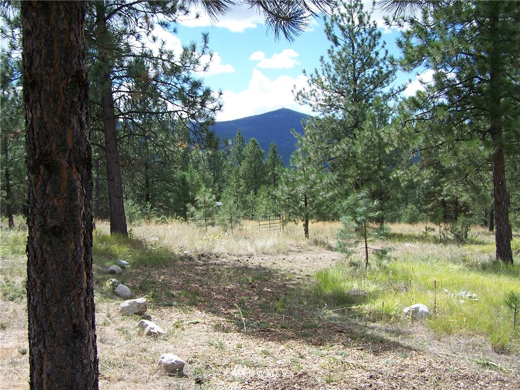 4 Lookout Trail Riverside, WA 98849 - Photo 2 of 11