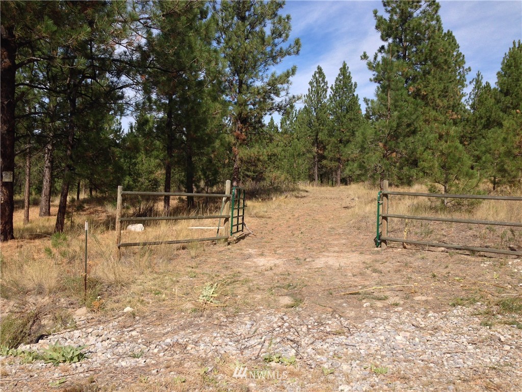 4 Lookout Trail Riverside, WA 98849 - Photo 9 of 11