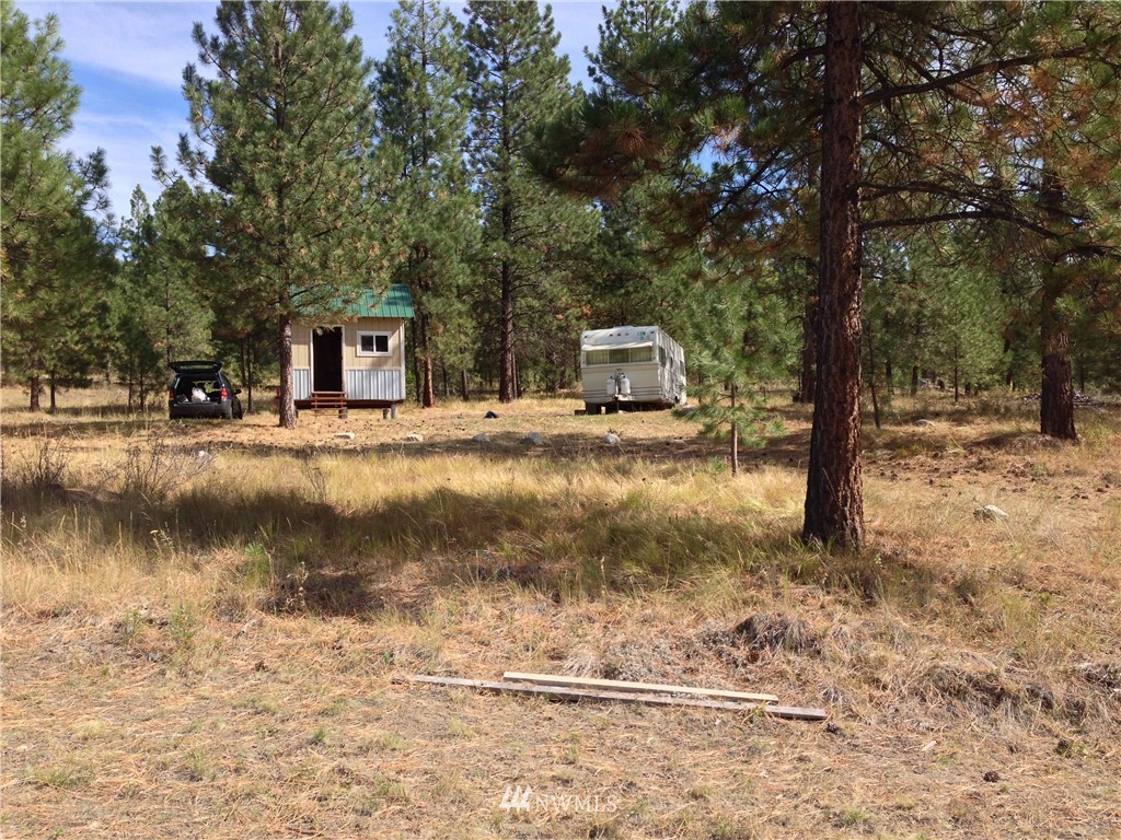 4 Lookout Trail Riverside, WA 98849 - Photo 10 of 11