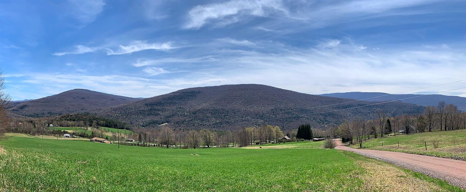 0 Hanley Road Fleischmanns, NY 12430 - Photo 1 of 1 Gallery Image 1
