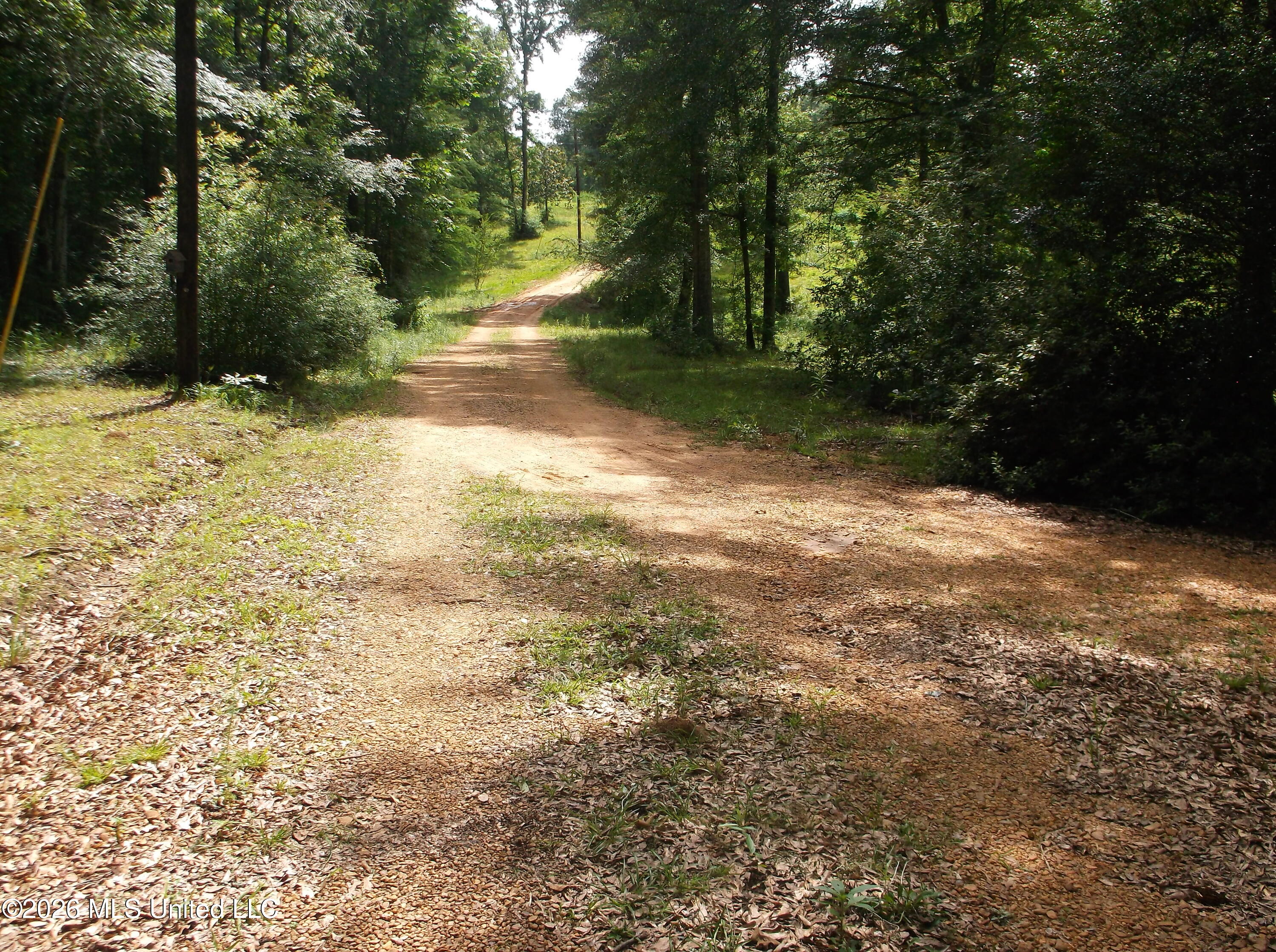 1090 Moak Road Summit, MS 39666 - Photo 1 of 26 DSCF4686