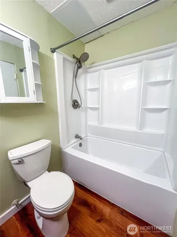 a bathroom with a toilet and a bathtub