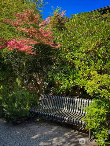 a view of a yard with plants and wooden fence