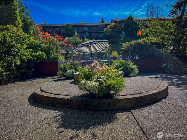 a view of a backyard with plants and a patio
