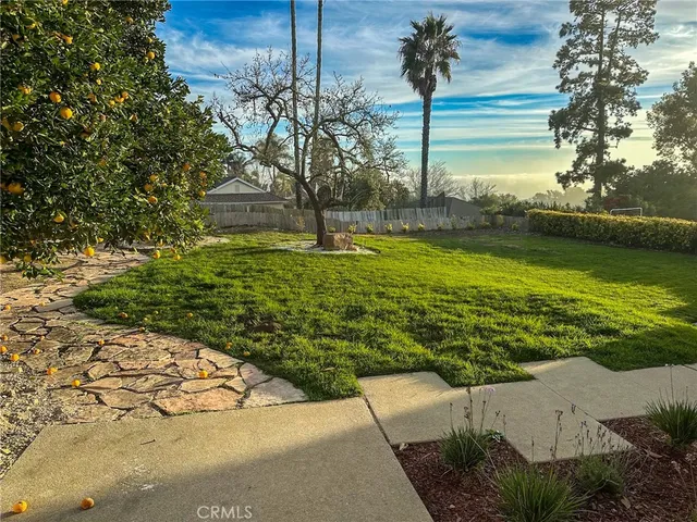 a view of a yard with plants