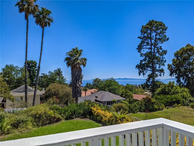 a view of a garden with a tree