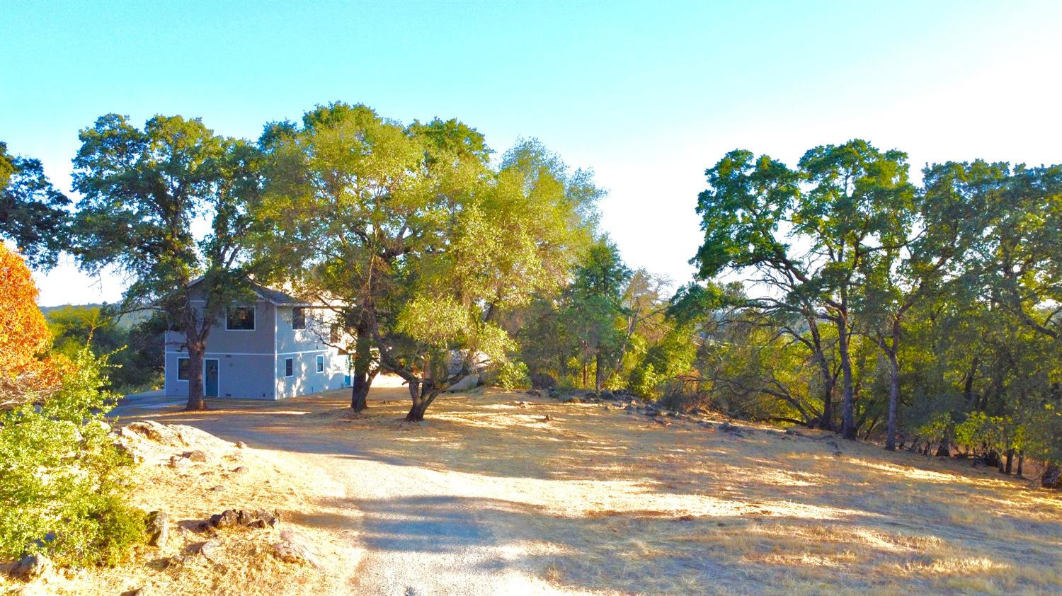 4275 Chatee Lane Rescue, CA 95672 - Photo 1 of 1 a view of a yard with plants and trees