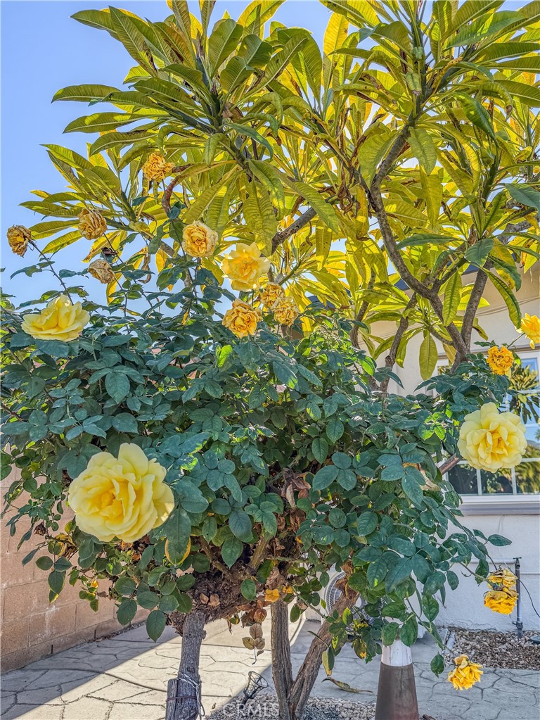 18002 East Fondale Street Azusa, CA 91702 - Photo 38 of 48