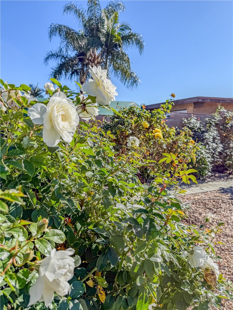 18002 East Fondale Street Azusa, CA 91702 - Photo 40 of 48