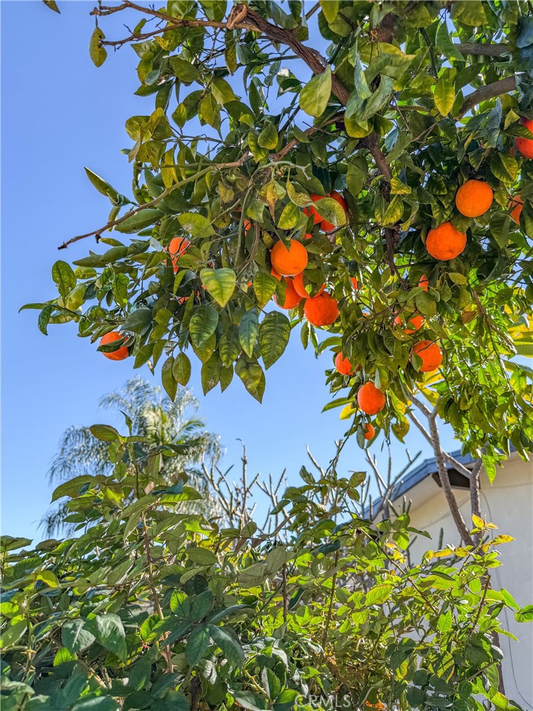 18002 East Fondale Street Azusa, CA 91702 - Photo 41 of 48